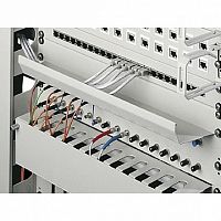 Панель с лотком для  прокладки кабеля 1U |  код. 5502245 |  Rittal